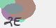 securitycode