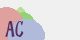 securitycode