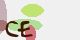 securitycode