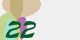 securitycode