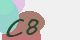 securitycode