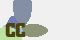securitycode