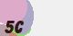 securitycode