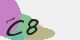 securitycode
