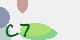 securitycode
