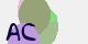 securitycode