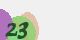 securitycode