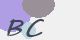 securitycode