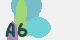 securitycode