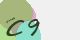 securitycode