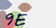 securitycode