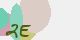 securitycode