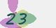 securitycode