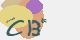 securitycode