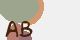 securitycode