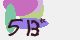 securitycode