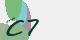 securitycode