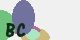 securitycode