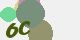 securitycode