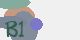 securitycode