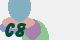 securitycode