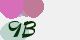 securitycode