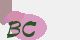 securitycode