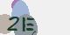 securitycode