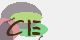 securitycode