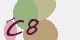 securitycode