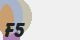 securitycode