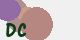securitycode