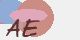 securitycode