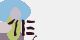 securitycode
