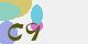 securitycode