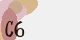 securitycode