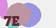 securitycode