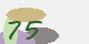 securitycode