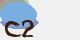 securitycode