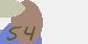 securitycode