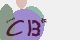 securitycode