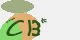 securitycode