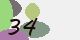 securitycode