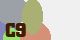securitycode