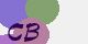 securitycode