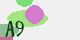 securitycode