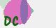 securitycode