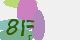 securitycode