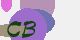 securitycode