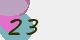 securitycode
